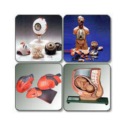 > </div>
<div class=